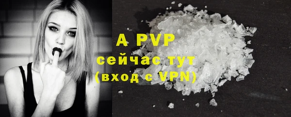 крисы Алексин