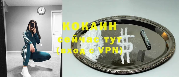 крисы Алексин