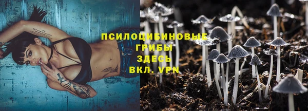 крисы Алексин