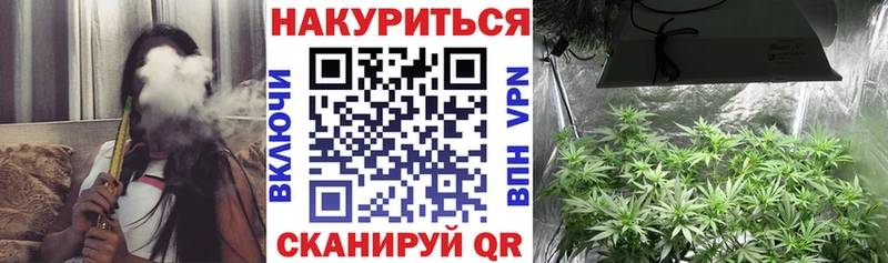 darknet формула  где продают   Сальск  Бошки марихуана план 